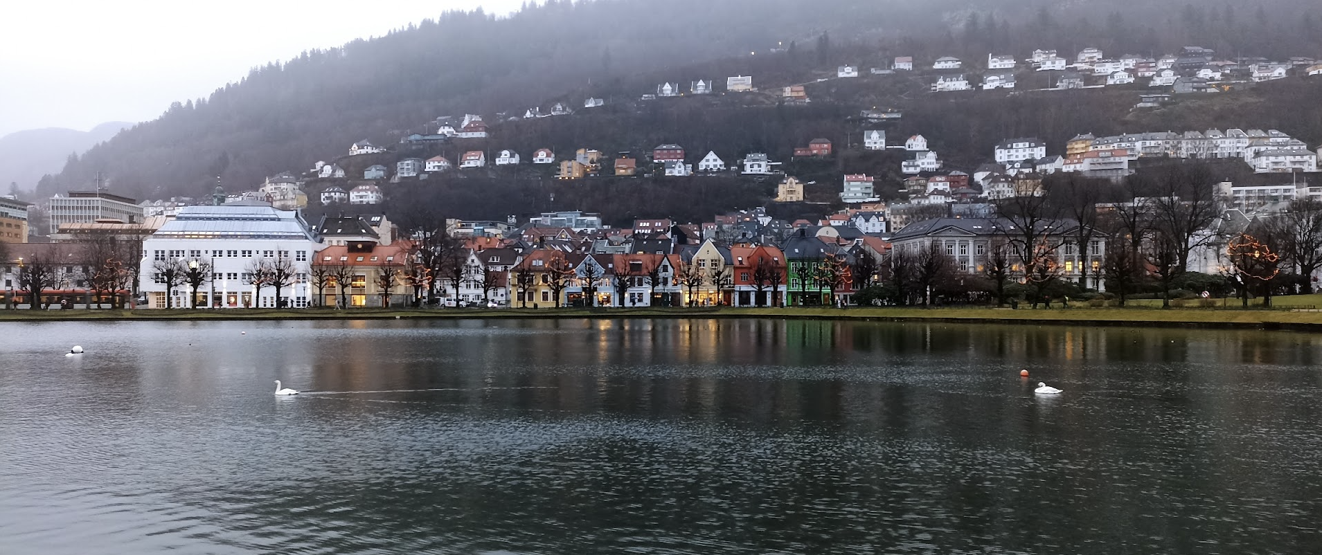 Bergen cityscape